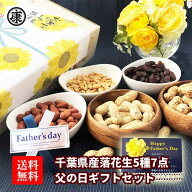 【送料無料　千葉県産落花生5種7点 父の日ギフト 総重量たっぷり600g】 半立 八街産 佐倉市産 ギフト 父…