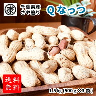 500円OFFクーポン【超特価Qなっつ1.5kg】送料無料 【千葉県産Qなっつ さや煎り落花生1.5kg(500g×3袋)】…