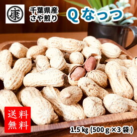 500円OFFクーポン【超特価Qなっつ1.5kg】送料無料 【令和5年産千葉県産Qなっつ さや煎り落花生1.5kg(500g×3袋)】ピーナッツ ギフト 千葉みやげ　yp yp