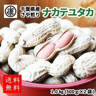 新豆！令和7年産【期間限定超特価1.0kg】【送料無料(中国地方のぞく本州)】超特価！超大盛！千葉県産ナカ…