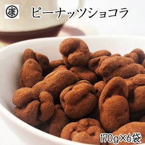 【グランプラス×ヤマハン】ベルギー産最高級チョコレートで作ったピーナッツショコラ 170g×6袋 (1.02kg)グランプラス コラボ ベルギー産クーベルチュール 千葉県産 高級 5月〜10月はチルド