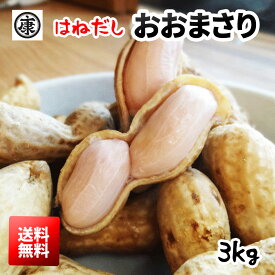 ちょっとわけありお徳用！おおまさりのはねだし！令和8年産 ゆで落花生用 生落花生おおまさり はねだし 3kg 洗浄済レシピ付 茹で落花生