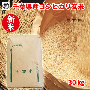 �y��������(�{�B)�z�ߘa8�N�Y��t���Y�R�V�q�J��30kg ���� ����������̔� �ꓙ�� �V�� 30kg