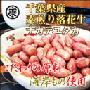新豆!平成30年度産【送料無料】千葉県産ナカテユタカ素煎り240g(120g×2袋)【ゆうメール発送】こだわりの≪海岸もの原料使用≫【ピーナッツ】【ガッテン】【...