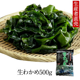 『生産者から直送』『2025年新わかめ』【あす楽対応】『生産者直売』わかめ　国産 500g 鳴門産 ワカメ 国産 塩蔵わかめ 塩蔵ワカメ 美味しい物 ご当地 お取り寄せ 産地直送 海産物 食物繊維　免疫力　腸内細菌