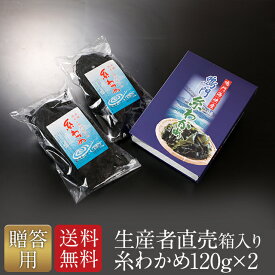 『生産者から直送』『2025年新わかめ』【あす楽対応】【贈答用】 糸わかめ 120g× 2個セット 乾燥 国産 　御歳暮　敬老の日御中元お中元　内祝 快気祝　　海藻 高級 美味しい ご当地 産地直送 海産物 ギフト送料無料　免疫力