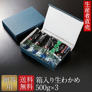 wY҂璼xw2025NV킩߁xyyΉzypz@킩߁@Y  500g×3 @䒆@Ε@hV̓@j@Cj@@v[g @킩 ~l