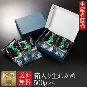 wY҂璼xw2025NV킩߁xyyΉzypz킩 킩 Y  500g×4 Ε 䒆@@hV̓@j Cj@o C ~l Yn 