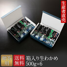 『生産者から直送』『2025年新わかめ』【あす楽対応】【贈答用】わかめ 生わかめ 500g×6個 国産 お中元御中元　 御歳暮 　御祝・内祝　快気祝　 国産わかめ 塩蔵わかめ 産地直送 ヘルシー 健康 食品 ギフト 贈り物 贈答用　送料無料
