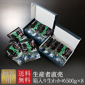 wY҂璼xw2025NV킩߁xyyΉzypz 킩 Y  500g×8 @Ε@jEj Cj䒆@@ Y@킩 C ~l Yn 