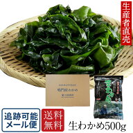 【わかめランキング1位獲得】『生産者直売』【2026年新 わかめ】 生わかめ 500g　鳴門産　国産 免疫力　 …