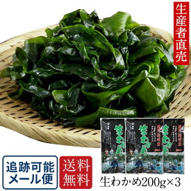 『生産者から直送』 【2025年新生わかめ】 200g ×3個 国産 鳴門わかめ 鳴門産 塩わかめ 塩蔵 ワカメ 徳島 生ワカメ 塩蔵わかめ 美味しいもの ご当地 産地直送 食物繊維 ミネラル　送料無料　免疫力アップ　腸内細菌