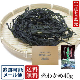 『生産者直売』『2025年新わかめ』【お試し価格】 鳴門産乾燥わかめ　 糸わかめ 40g 鳴門海峡 鳴門わかめ 徳島 鳴門海峡産 ワカメ 国産わかめ 海藻 美味しい物 ご当地 産地直送 腸内細菌 　免疫力　送料無料生わかめ生ワカメ