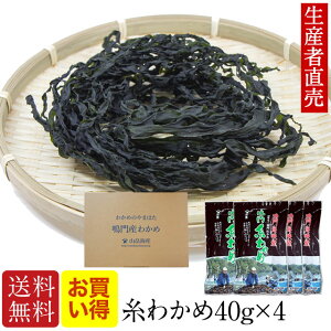 ylCizwYҒxyzyzyyΉzY킩40g×4Zbg@킩߁@Ɖú@CY J Y킩 ǐՔԍL|Xgց@