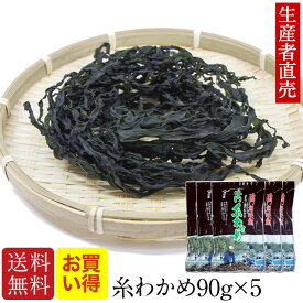 『生産者から直送』『2025年新わかめ』【あす楽対応】鳴門産 糸わかめ90g×5個 鳴門わかめ 徳島 鳴門海峡産 ワカメ 国産わかめ 美味しい物 美味しいもの おいしいもの ご当地 お取り寄せ 産地直送 免疫力　腸内細菌　腸内細菌