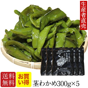 wY҂璼xw 2025NVs킩 xyyΉzY 300g×5 sJ   킩 Y C  _CGbg ܂ n Yn  CY@