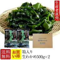 【お買い得】『2026年新生わかめ』【あす楽対応】500g×2個セット大人気！『生産者から直送』　わかめ　 …