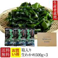 【お買い得】『2026年新生わかめ』【あす楽対応】500g×3個セット大人気！『生産者から直送』　わかめ　 …