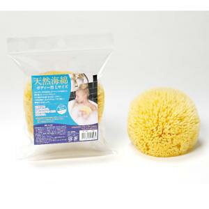 VRC njJ {fB[p LTCYi12cmjґȔMVG[QCY 100%VR \tgȔ ɂ₳ VRX|W {fBp ̗p p A VR̍C 