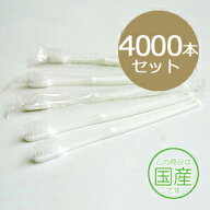 業務用使い捨て歯ブラシ（ハミガキ粉なし）4000本入り（500本×8箱）歯ブラシ単品 日本製 ハミガキ粉がつ…