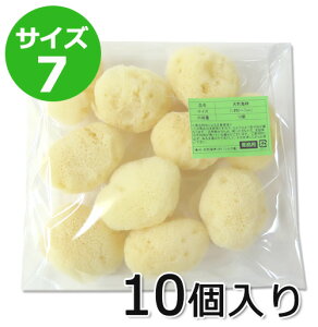 yƖpzO[x VRCȃVN TCY7i6`7cmj110 ߂ׂAɂe͐ 100%VR \tgȔ ɂ₳ VRX|W ߍׂ@ CNA