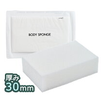 楽天市場】業務用 圧縮 スポンジ 1000の通販