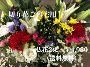 y p  Zbg  2 ` z  ԑ dp  ybg       AW ̓ @v   @v  @   ԑ Zbg 