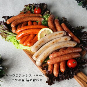 y hCc̐X  񂹃O z \[Z[WZbg hCc \[Z[W lߍ킹 񂹃O ܂ ̓ r[ Mtg \[Z[W Y 蕨 ̓ \[Z[W BBQ Z