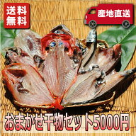 お取り寄せ 海鮮 グルメ 残暑見舞い 敬老の日 ギフト プレゼント おまかせ干物セット5000円【国産】 産地…
