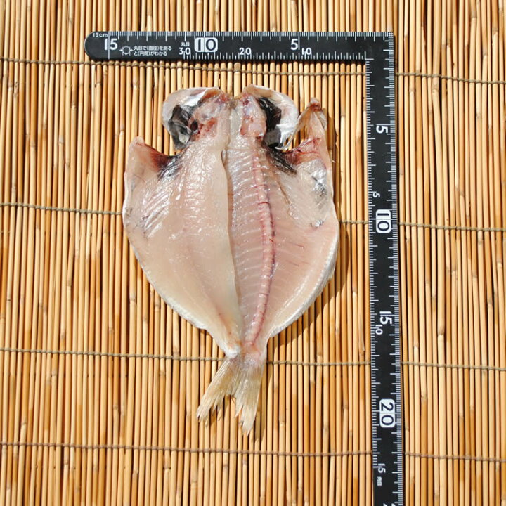 楽天市場 1日は食フェス 寒中見舞い ギフト あす楽 干物のお取り寄せ グルメ いぼだい干物 5枚 お年賀 誕生日 プレゼント 送料無料 国産 エボダイ えぼだい えぼ鯛 魚 食品 食べ物 おかず 酒のおつまみ 食べ物 福袋 保存食 海鮮 開き 小田原 秋 お返し 小田原