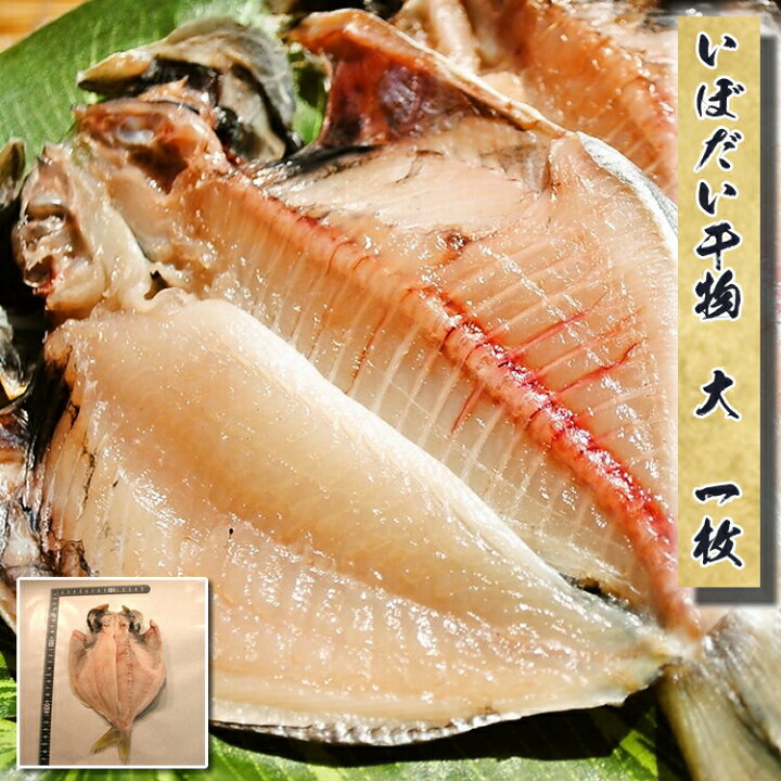 楽天市場 干物のお取り寄せ グルメ 大サイズ いぼだい干物 大 1枚 お歳暮 ギフト ハロウィン 誕生日 プレゼント 国産 エボダイ えぼだい えぼ鯛 魚 食品 おかず 食べ物 福袋 保存食 海鮮 開き 小田原 内祝い あす楽 小田原ひもの 山市干物専門店