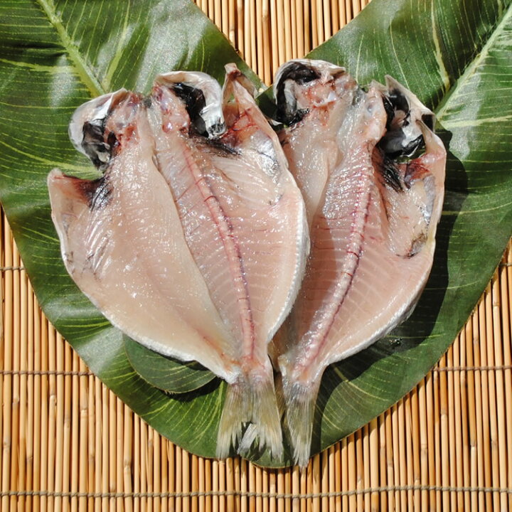 楽天市場 1日は食フェス 寒中見舞い ギフト あす楽 干物のお取り寄せ グルメ いぼだい干物 5枚 お年賀 誕生日 プレゼント 送料無料 国産 エボダイ えぼだい えぼ鯛 魚 食品 食べ物 おかず 酒のおつまみ 食べ物 福袋 保存食 海鮮 開き 小田原 秋 お返し 小田原