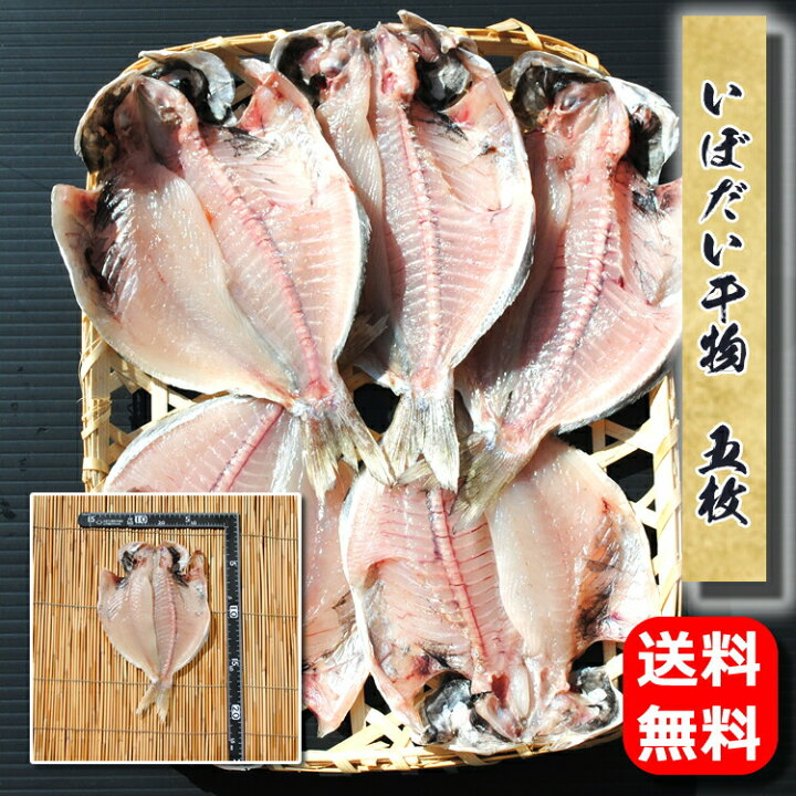 楽天市場 ホワイトデー ギフト あす楽 干物のお取り寄せ グルメ いぼだい干物 5枚 母の日 余寒見舞い 寒中見舞い 誕生日 プレゼント 送料無料 国産 エボダイ えぼだい えぼ鯛 魚 食品 食べ物 おかず 酒のおつまみ 食べ物 福袋 保存食 海鮮 開き 小田原 秋 お返し