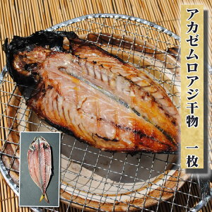  CN O H Mtg v[g AJ[AW 1y͘pYz Yn  Hi  Y a ނ날 1  c j ʔ V o[xL[ 