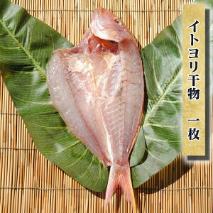 _|Cg10{^ Ε Mtg v[g ~  CN O Cg 1yYz Yn  Hi  Ƃ a   c j ʔ V o[x