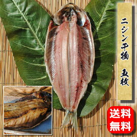 母の日 プレゼント ギフト 干物 お取り寄せ グルメ 贈答品 ニシン干物 5枚 誕生日 限定 送料無料 国産 限定 にしん 鰊 魚 食品 こだわり 福袋 保存食 海鮮 開き 小田原 内祝い あす楽 即納 通販 高級 絶品 お返し 父の日