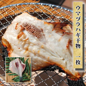 カワハギ つまみ 魚介加工品の人気商品 通販 価格比較 価格 Com カワハギ つまみ 魚介加工品の人気商品 通販 価格比較 価格 Com