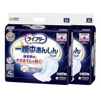 楽天市場】一泊旅行 バッグ（尿とりパッド｜失禁用品・排泄介助用品 