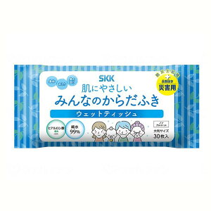 SKK みんなのからだふき 30枚 高齢者 男性 女性 大きめ おしりふき 臭わない 介護 外出用 使い捨て 大判