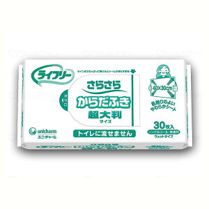 GCt[ 炳炩炾ӂ (30)