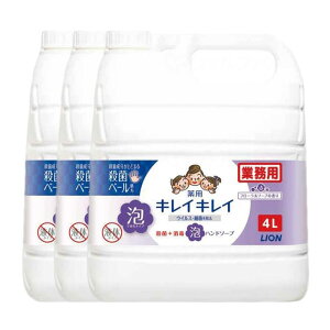 LCLC pAnh\[v t[\[v (4L) nh\[v A lߑւ Ɩp  t Mtg v[g 