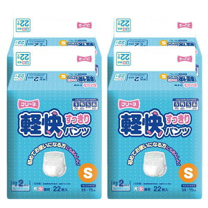 t[l y pc ܔ S (22) pbh A e  j  }WbNe[v 傫 ӂ LȂ  Oop ĝ 唻