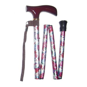 A~ 4i ԕ iObvj ԕsN XebL y     