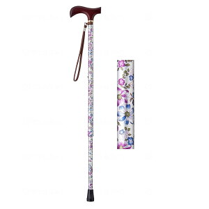 CtXebL  Lk^ iX^Cvj ԃVo[ XebL y     