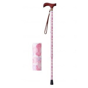 CtXebL  Lk^iX^Cvj u[P_A XebL y     