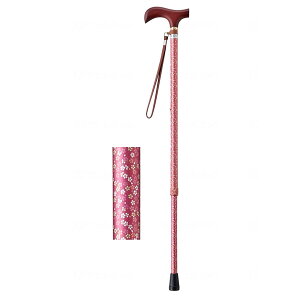 CtXebL  Lk^ iX^Cvj ×߂ XebL y     