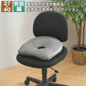 �N�b�V���� �w�� �p���𐳂� �T�|�[�g�N�b�V���� 37×40cm ���K�x�� ���̉@�搶�ďC �p�������� ���K ���S�y�� ���z�ȍ��p�� �E���^���t�H�[�� �L�w���� ���P �X�� �̈����U �܂���������