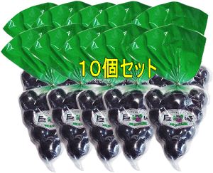 [[ЂƂʃ[[i10ZbgE110ʓjyzyRizʃ[[ ܂悤 ʃ[[