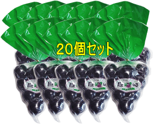 [[ЂƂʃ[[i110ʓEP[X20Zbgjyz