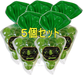 楽天市場 シャインマスカット 甲府の通販 楽天市場 シャインマスカット 甲府の通販